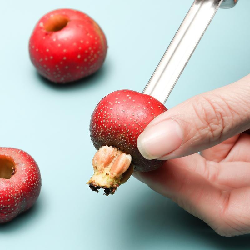 Kitchen Gadgets In China - Kitchen Nuts And Fruits De-Kerneler Tool